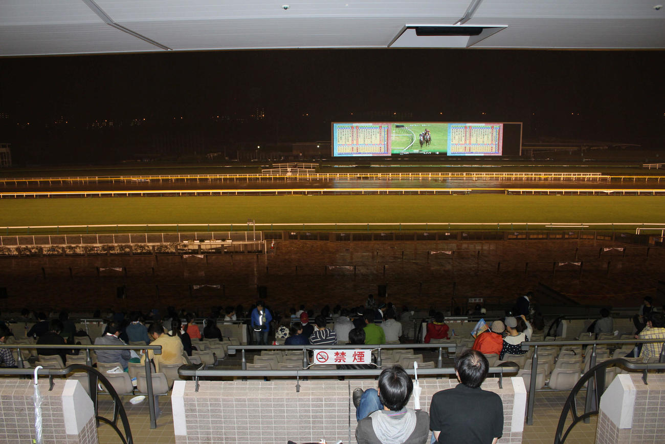 凱旋門賞を東京競馬場のパブリックビューイングで観戦するファン（2014年10月5日撮影）