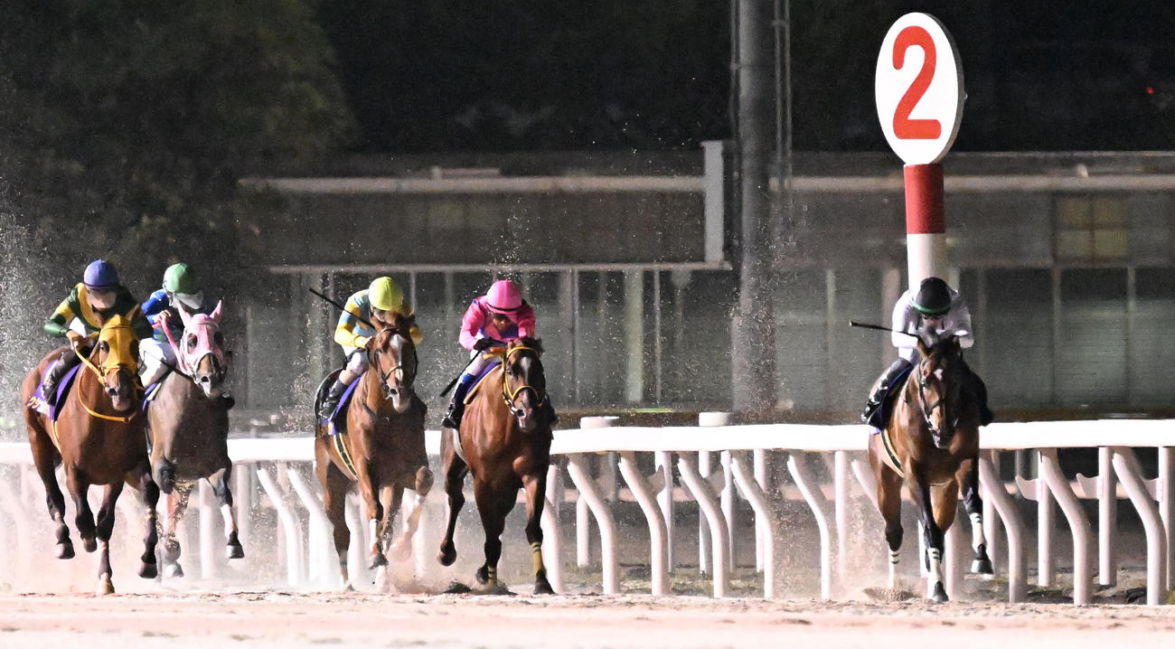 日本テレビ盃2着に敗れたウシュバテソーロ（左端）。右は勝ったウィリアムバローズ（撮影・千葉一成）