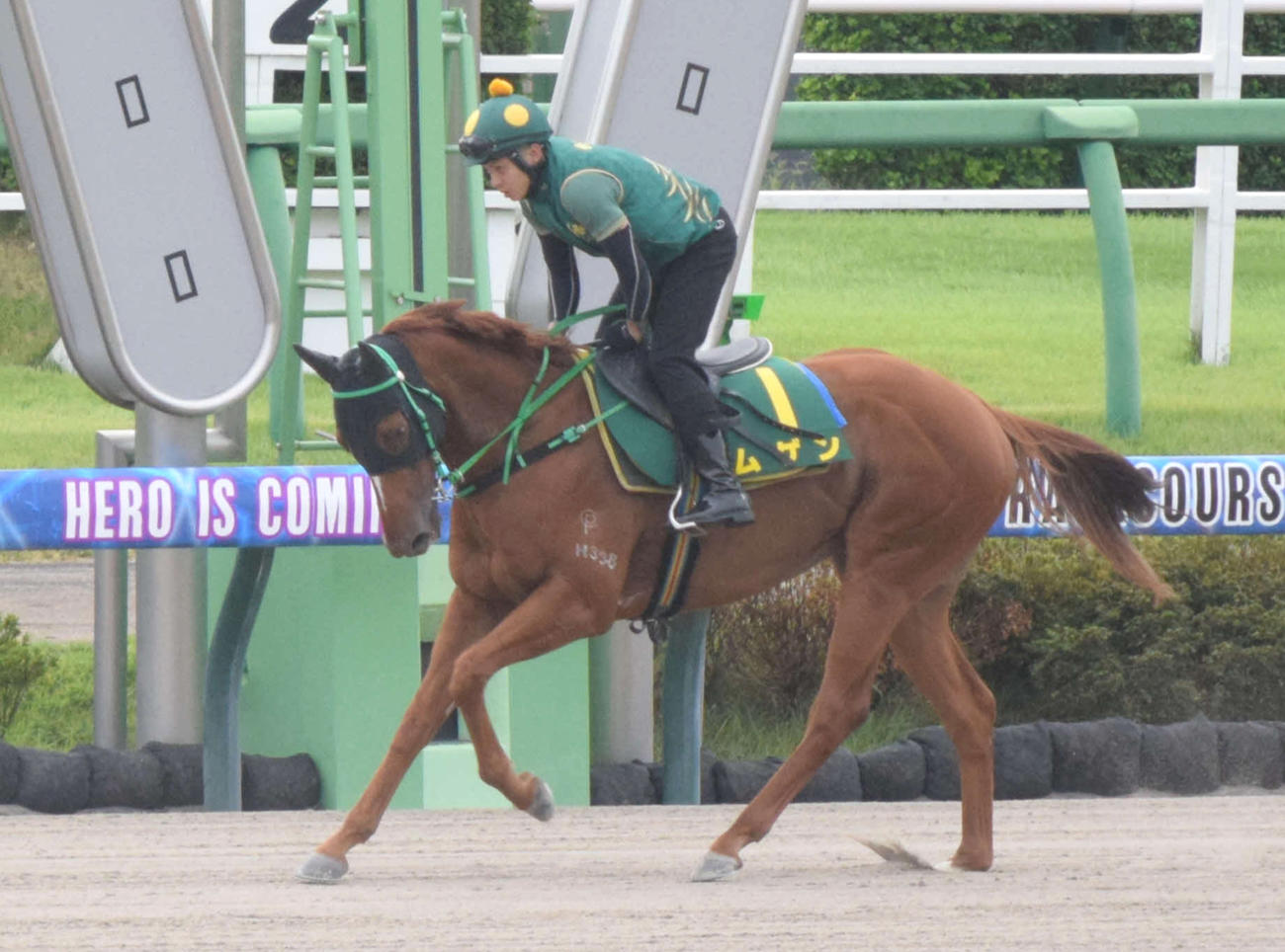 25日、中山競馬場のダートコースでの調整したムゲン