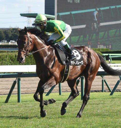 スプリンターズS】サトノレーヴ、レーン騎手とともにG1初挑戦「状態
