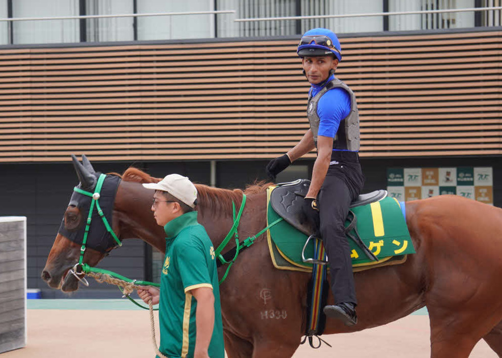 ティータン騎手が騎乗して27日の調整を終えた香港馬ムゲン