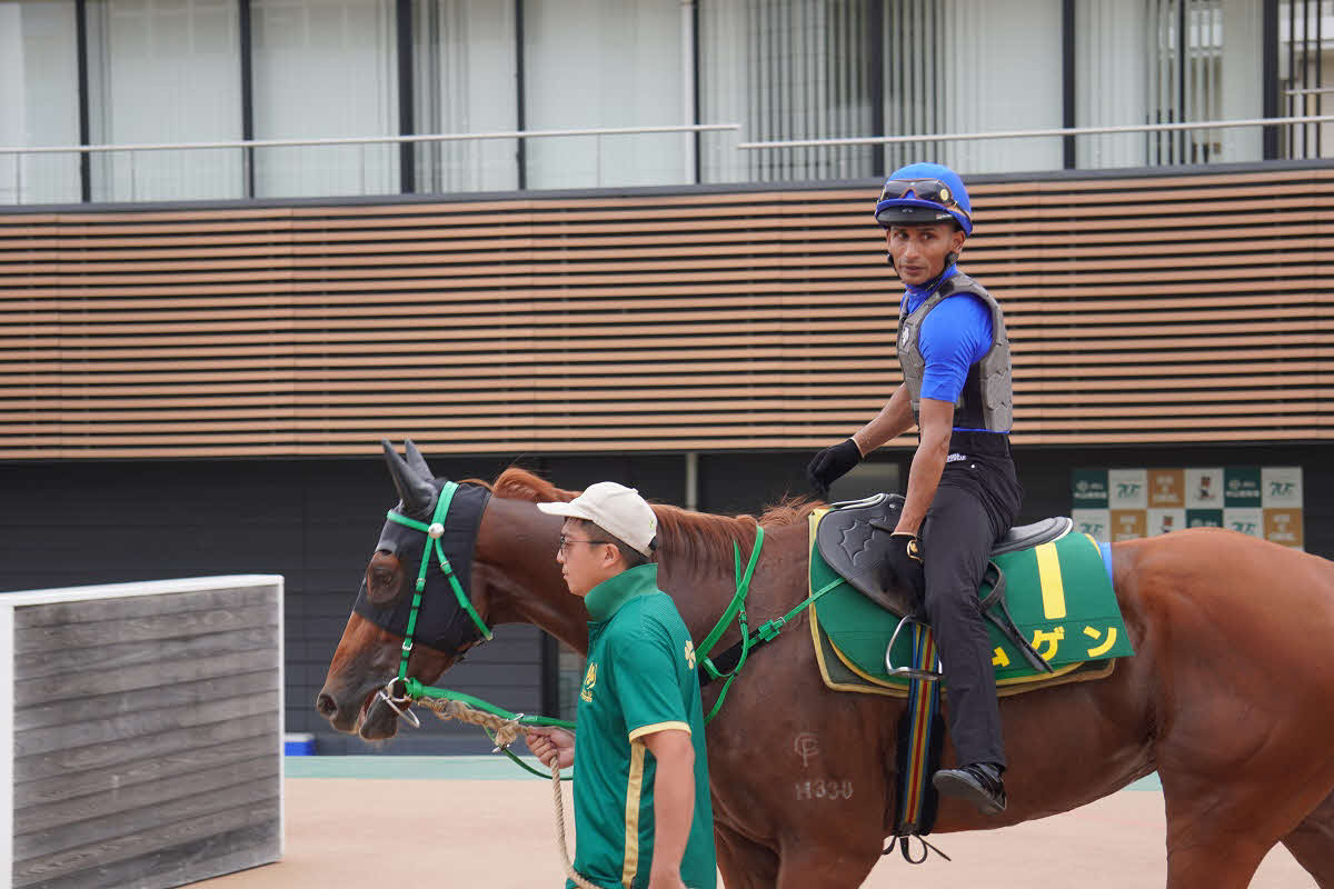 ティータン騎手が騎乗して27日の調整を終えた香港馬ムゲン