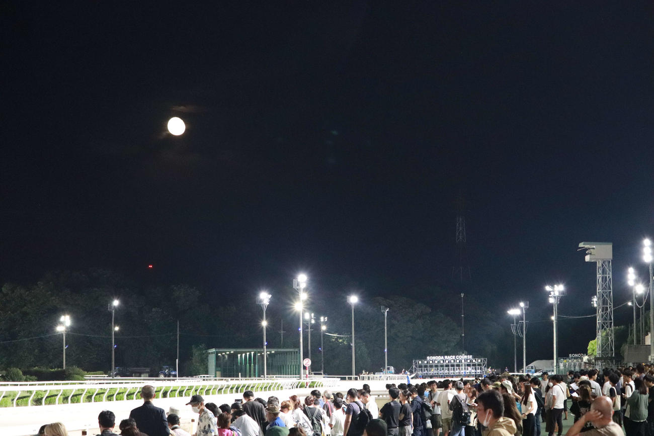 金曜日にナイター競馬が行われている園田競馬場