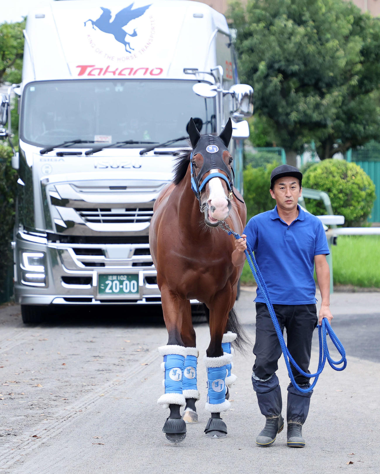 中山競馬場に到着したママコチャ（撮影・鈴木正人）