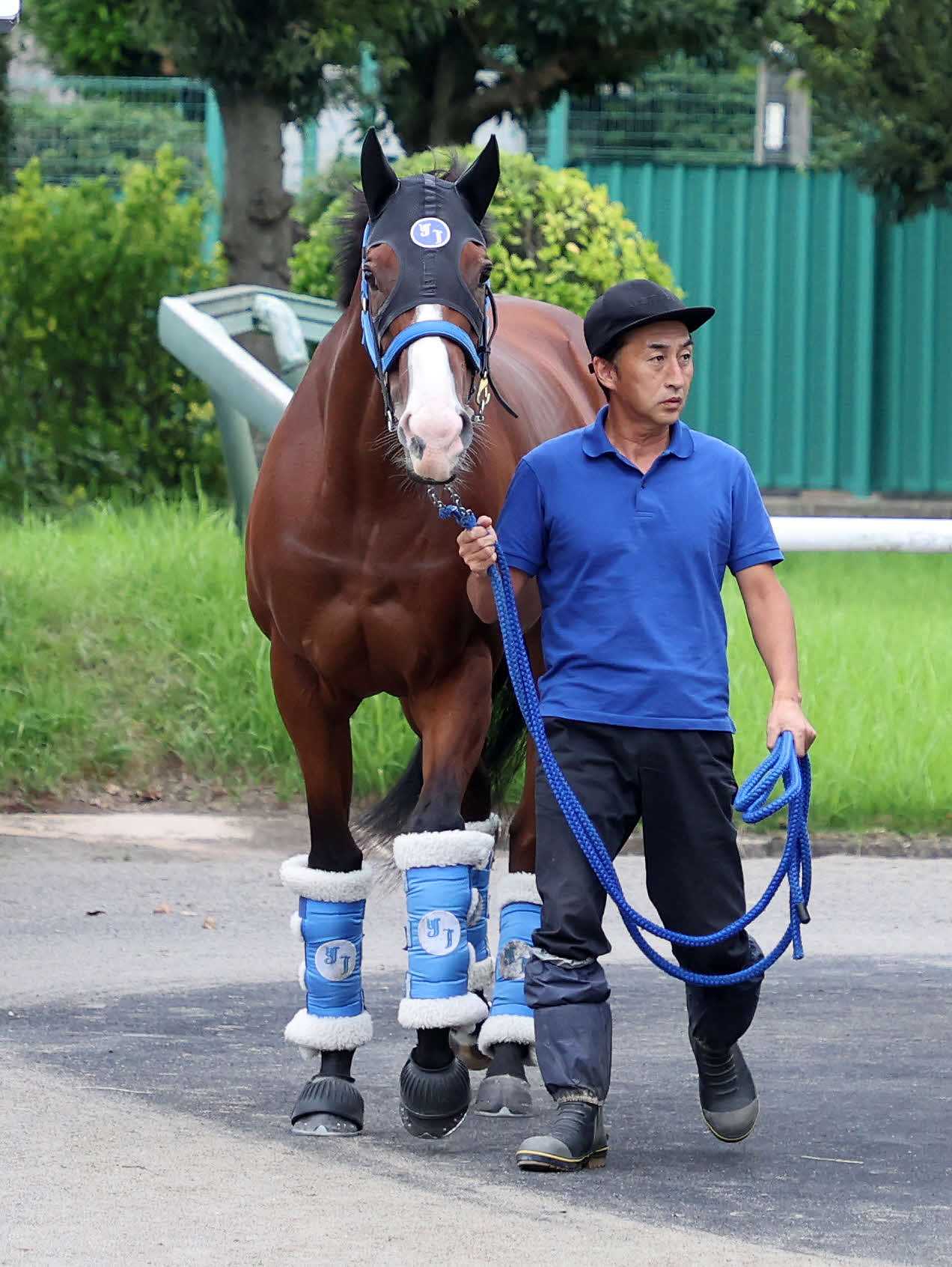 中山競馬場に到着したママコチャ（撮影・鈴木正人）