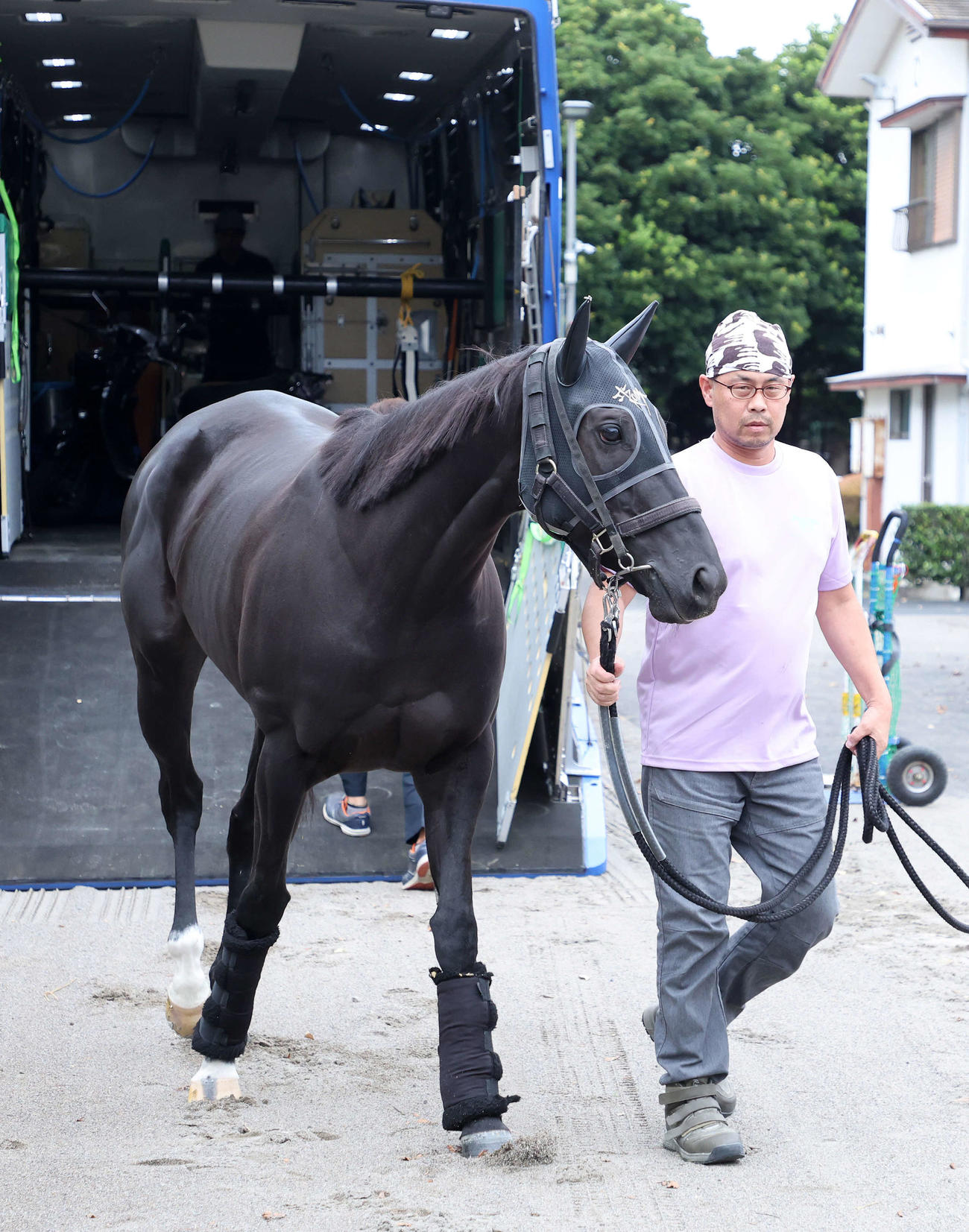 中山競馬場に到着したナムラクレア（撮影・鈴木正人）