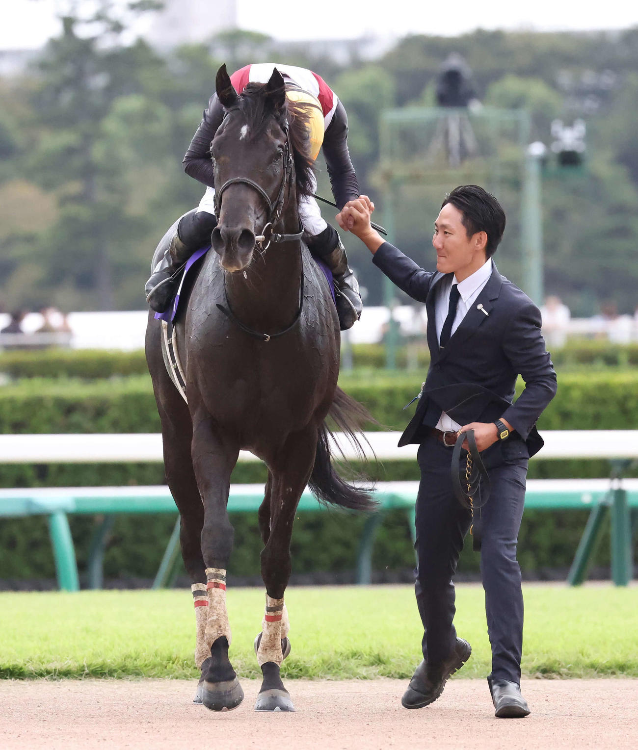 ルガルでスプリンターズSを制して厩舎スタッフとがっちり握手する西村淳騎手（撮影・丹羽敏通）