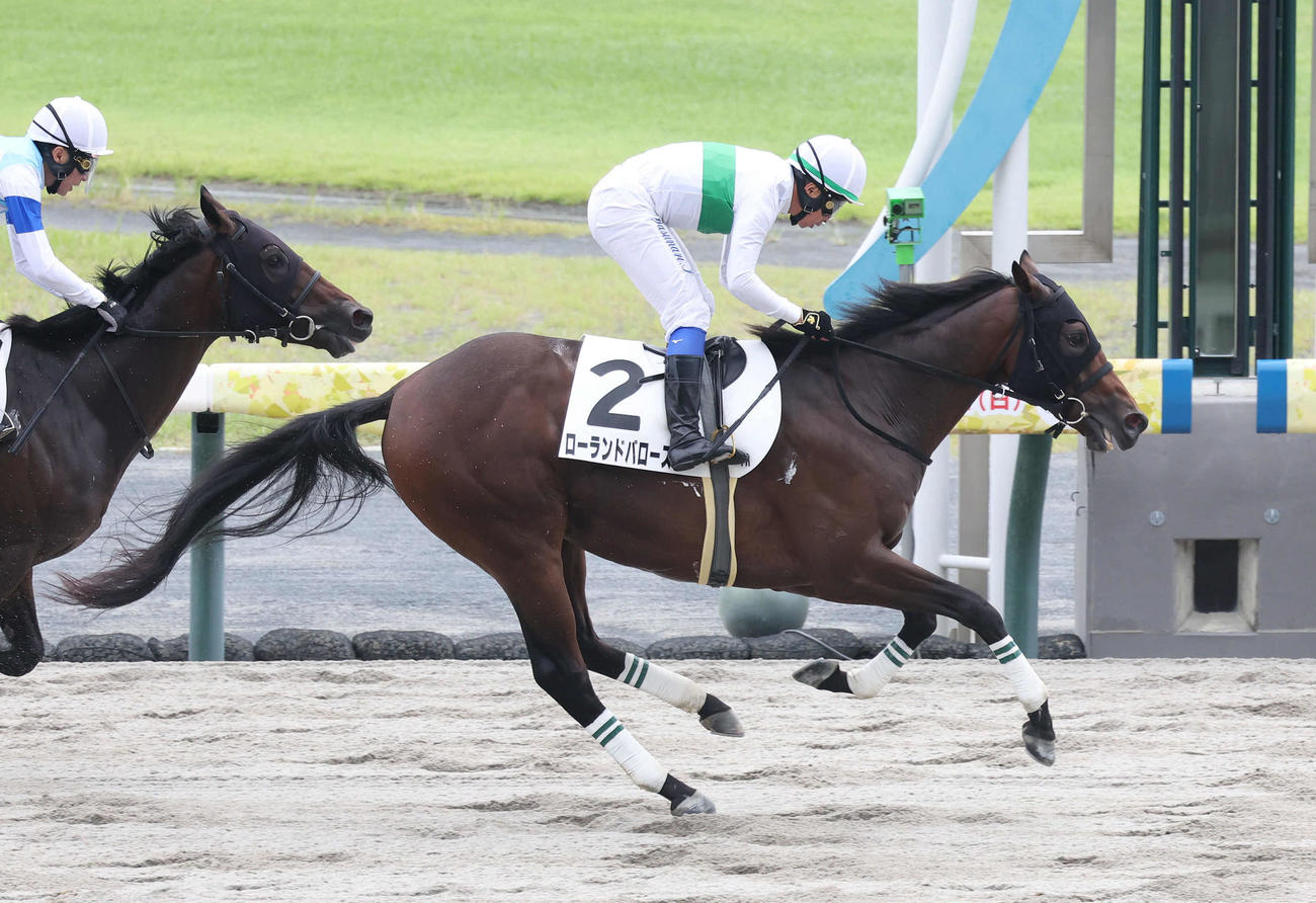 差し切って新馬戦を制したローランドバローズ（撮影・白石智彦）