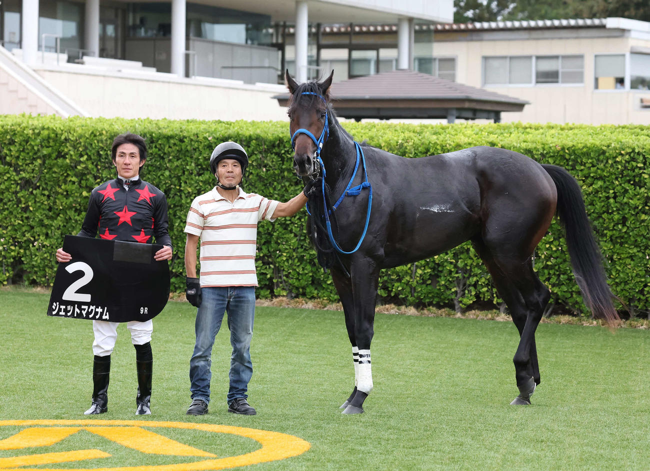 中山9R、芙蓉Sを制したジェットマグナムの口取りをする丹内騎手（撮影・丹羽敏通）
