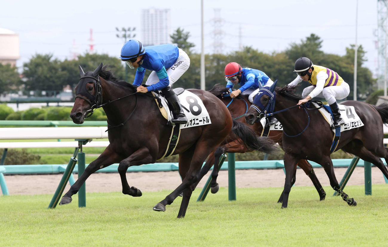 中山5R、2歳新馬戦を制したクレオズニードルと佐々木騎手（撮影・丹羽敏通）