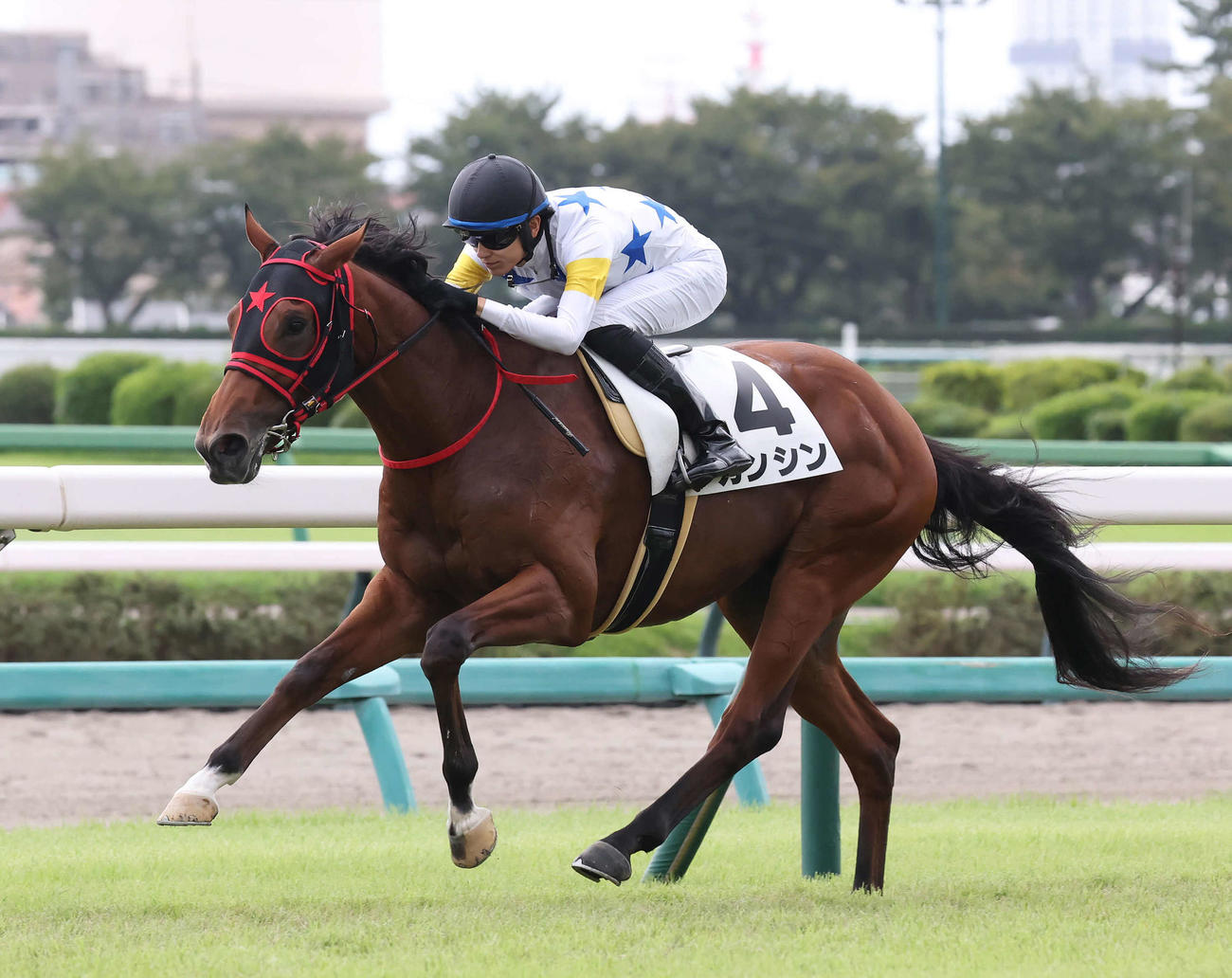 中山3R、2歳新馬戦を制したカンシンと坂井騎手（撮影・丹羽敏通）