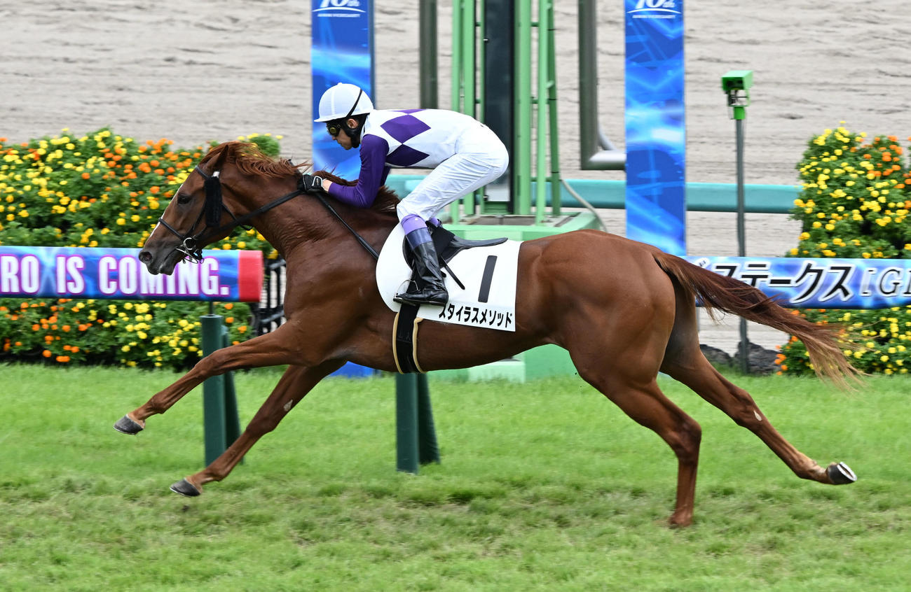 中山5R新馬戦を制したスタイラスメソッドと武豊騎手（撮影・千葉一成）