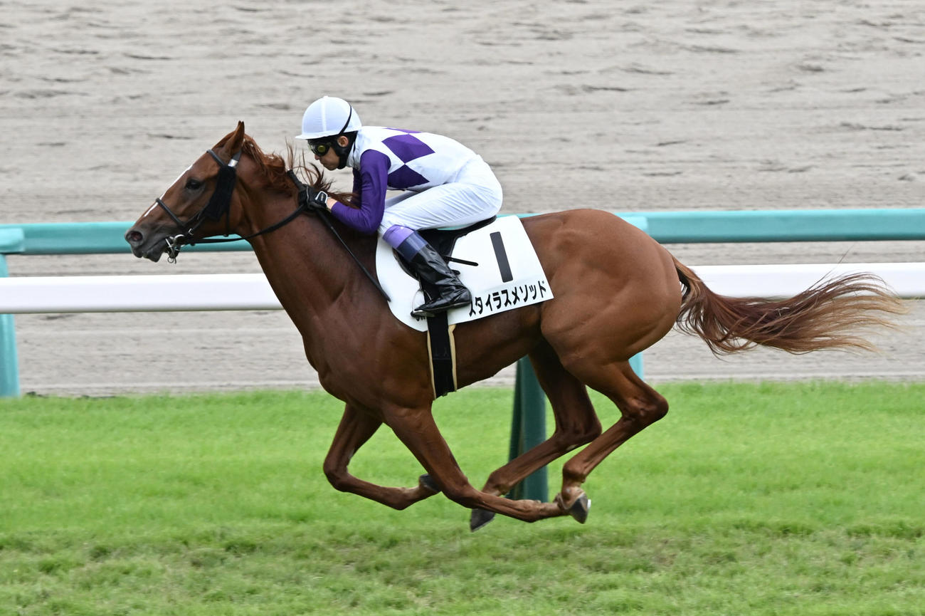 中山5R新馬戦を制したスタイラスメソッドと武豊騎手（撮影・千葉一成）