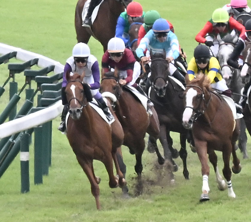 中山5R新馬戦を制したスタイラスメソッドと武豊騎手（手前左）（撮影・千葉一成）