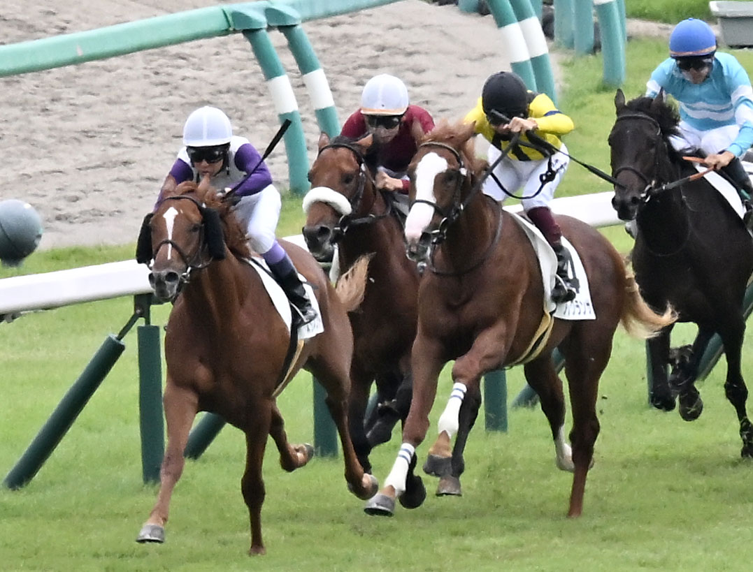 中山5R新馬戦を制したスタイラスメソッドと武豊騎手（手前左）（撮影・千葉一成）