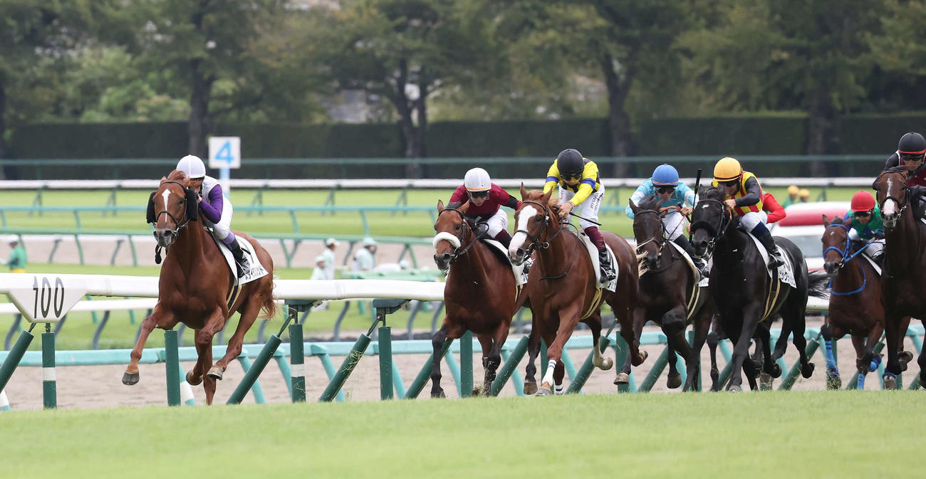 中山5R新馬戦を制したスタイラスメソッドと武豊騎手（左）（撮影・丹羽敏通）
