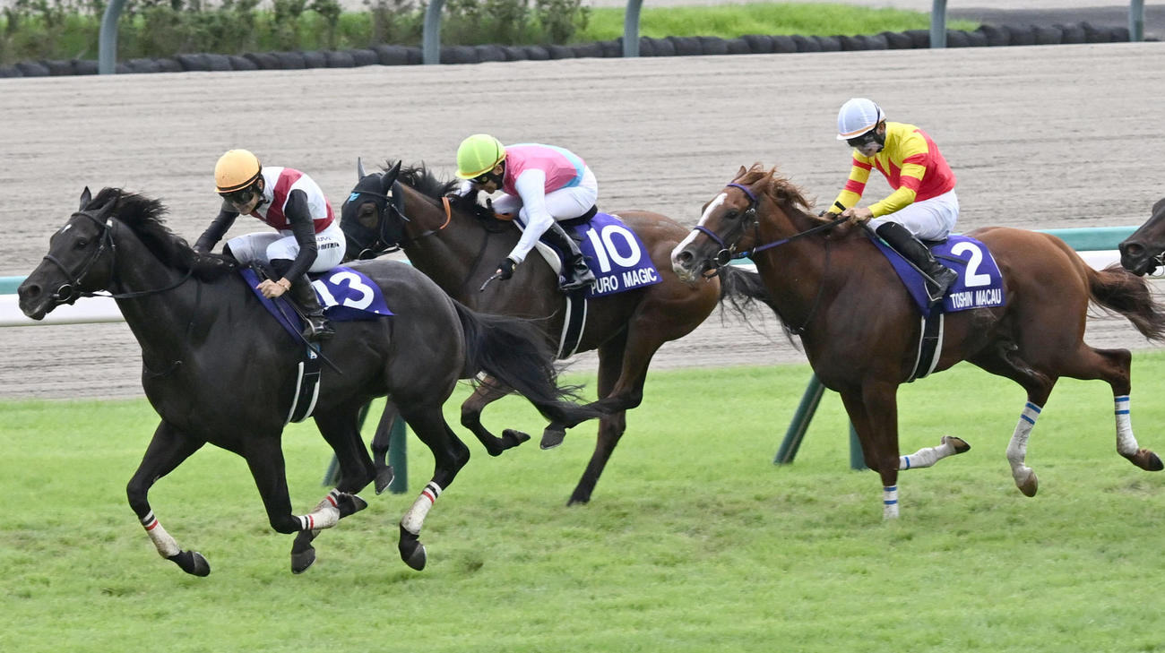 スプリンターズS2着に敗れたトウシンマカオ（右）。左は勝ったルガルと西村騎手（撮影・千葉一成）