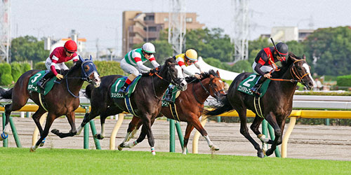 サウジアラビアRCを制したゴンバデカーブース（右）と松山弘平騎手（撮影・鈴木正人）＝2023年10月7日、東京競馬場