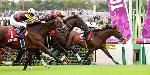 毎日王冠を制したエルトンバローズ（右）と西村淳也騎手（撮影・鈴木正人）＝2023年10月8日、東京競馬場