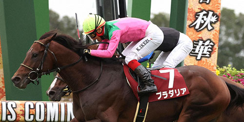 直線の追い比べを制したプラダリアが京都大賞典を勝利した。奥は2着ボッケリーニ（撮影・白石智彦）＝2023年10月9日、京都競馬場