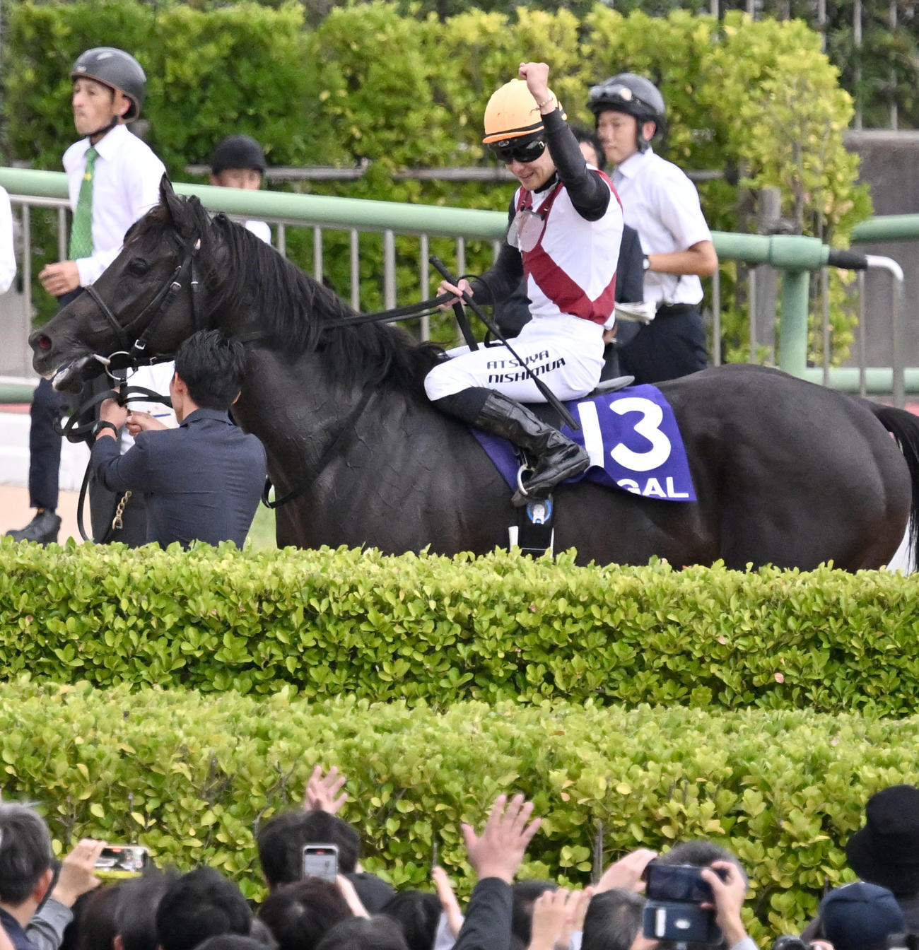 ルガルでスプリンターズSを制し、ファンの歓声にガッツポーズで応える西村騎手（撮影・千葉一成）