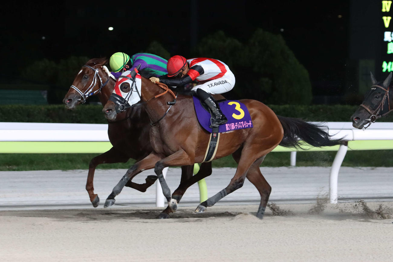 レディスプレリュードを制したグランブリッジと川田騎手（手前）