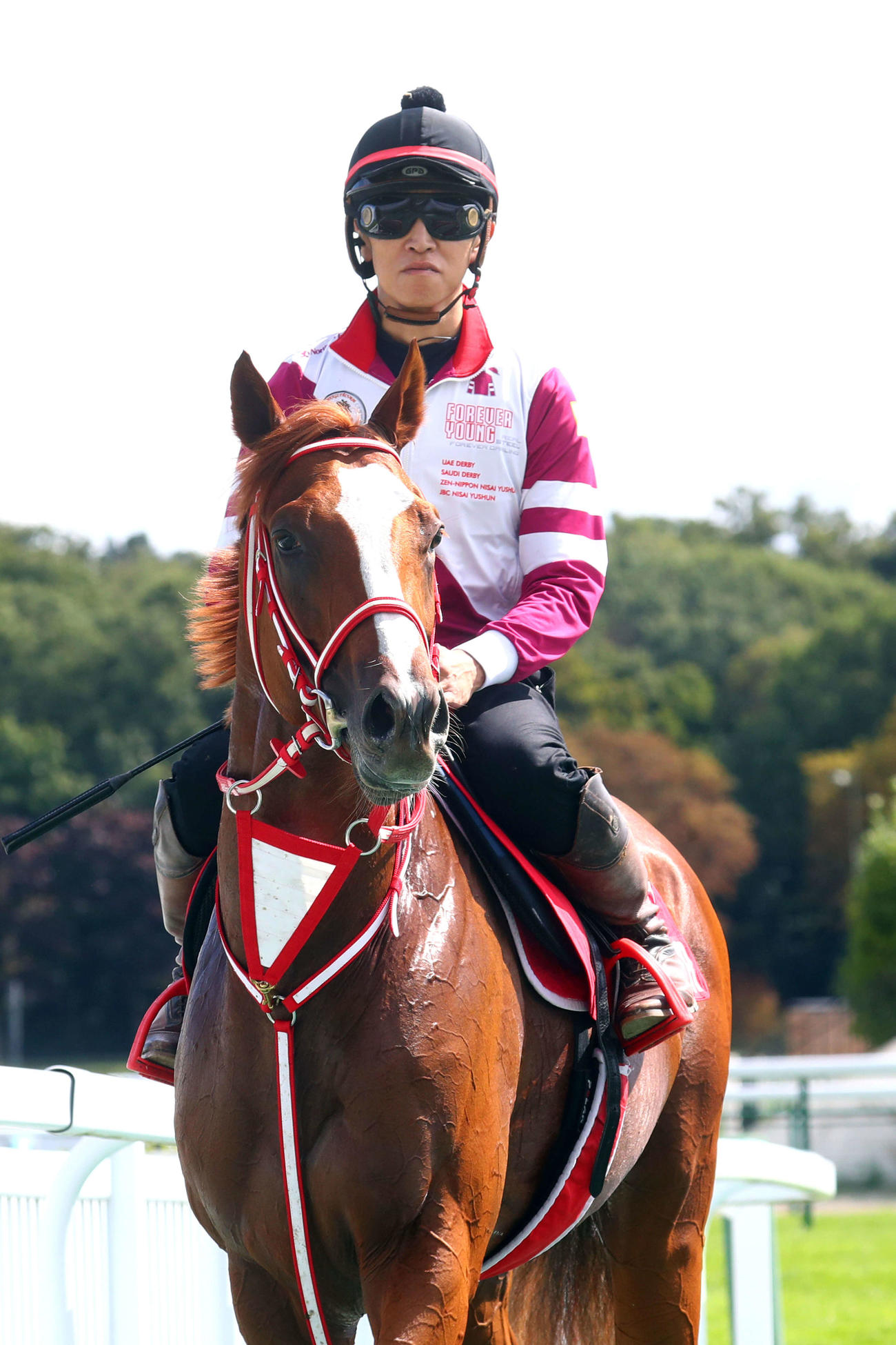 パリロンシャン競馬場でスクーリングを行ったシンエンペラー（C）scoopdyga