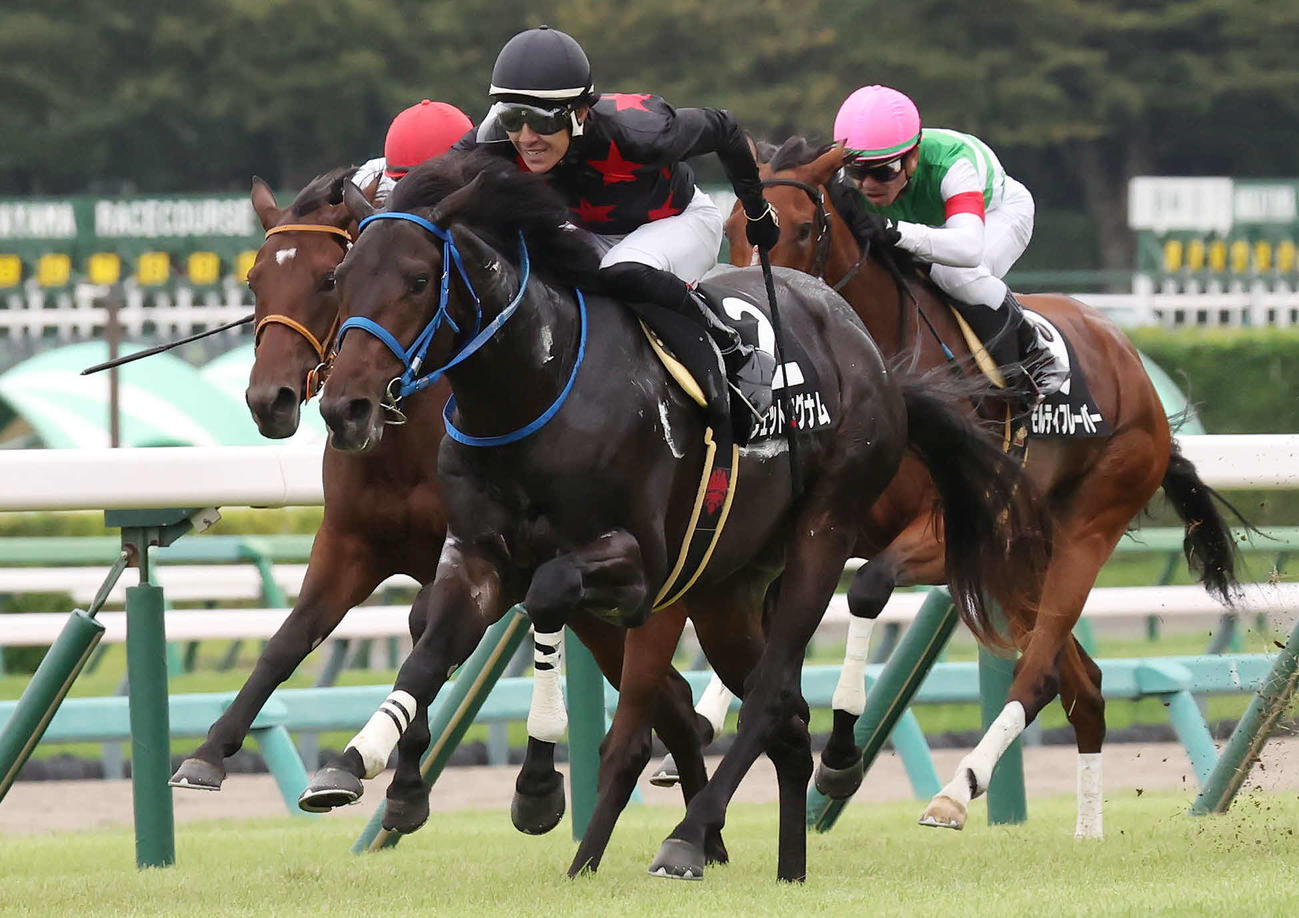 芙蓉Sを制したジェットマグナムと丹内騎手（撮影・丹羽敏通）