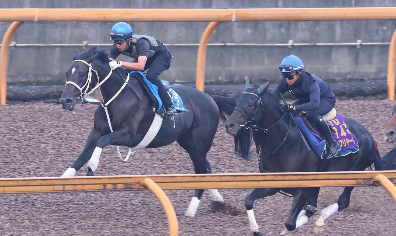 幸騎手を背にCWコースで追い切るディープボンド