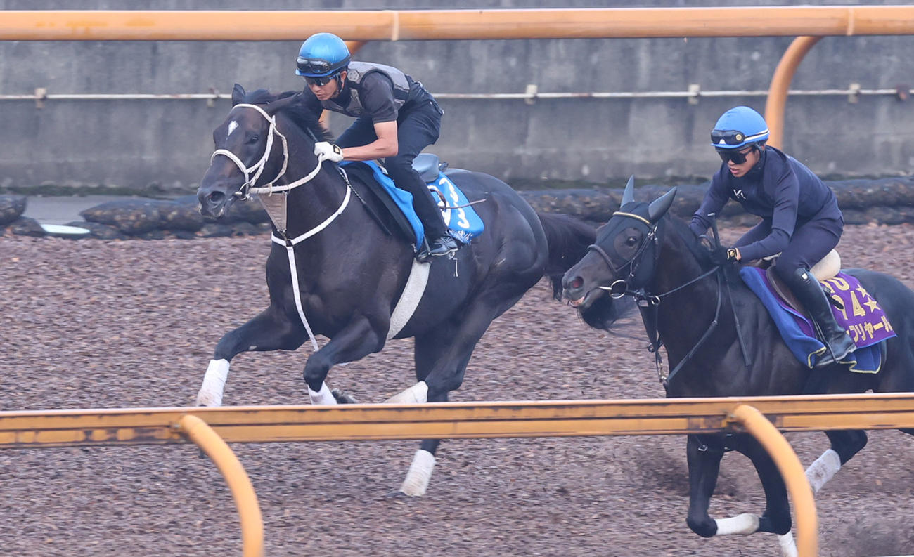 幸騎手を背にCWコースで追い切るディープボンド