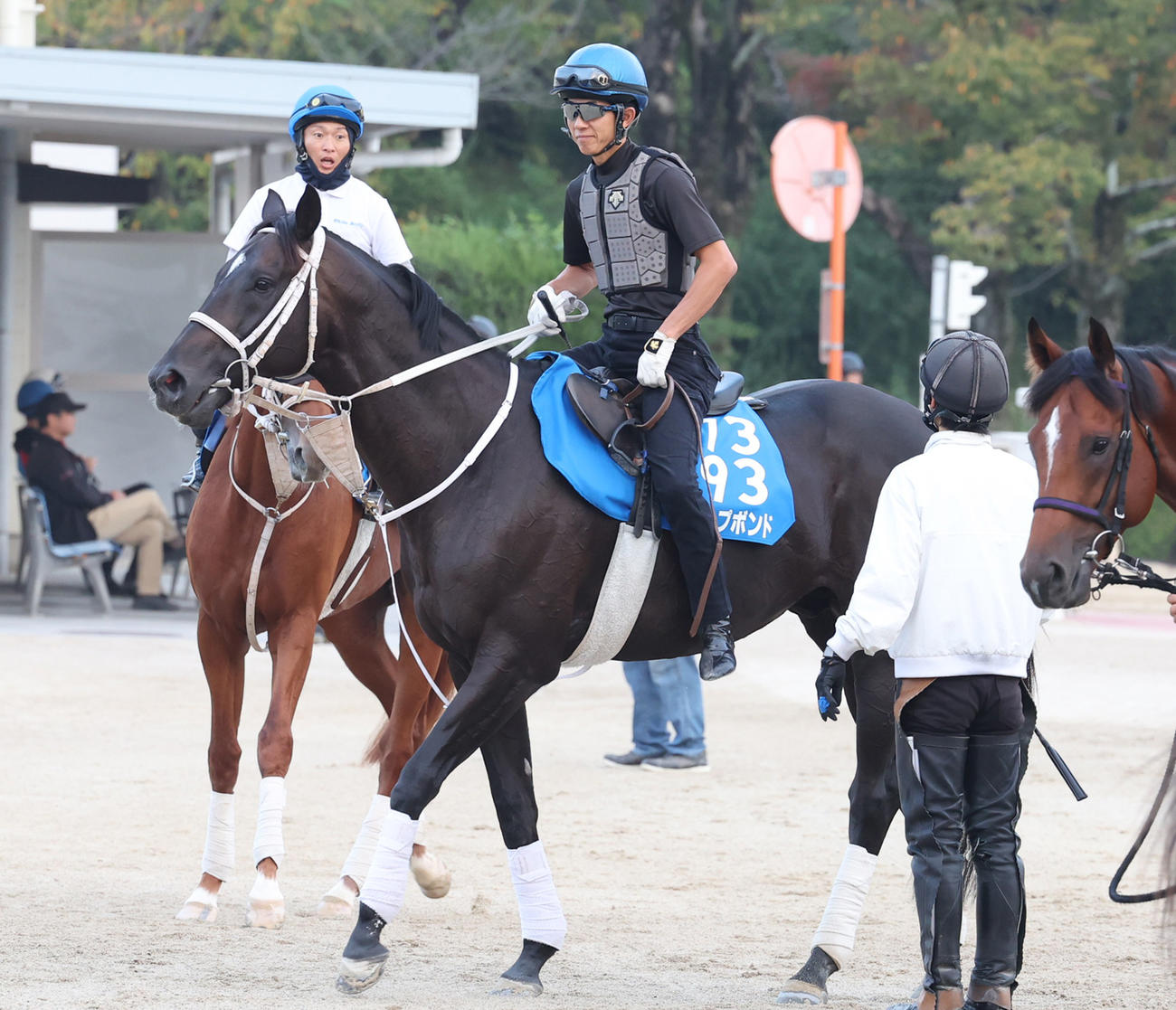 幸騎手を背に追い切りへ向かうディープボンド