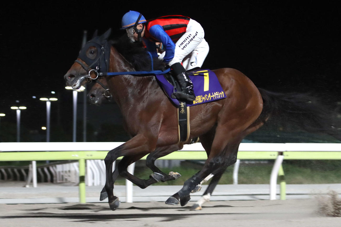 ジャパンダートクラシックを5着でゴールしたシンメデージーと吉原寛人騎手