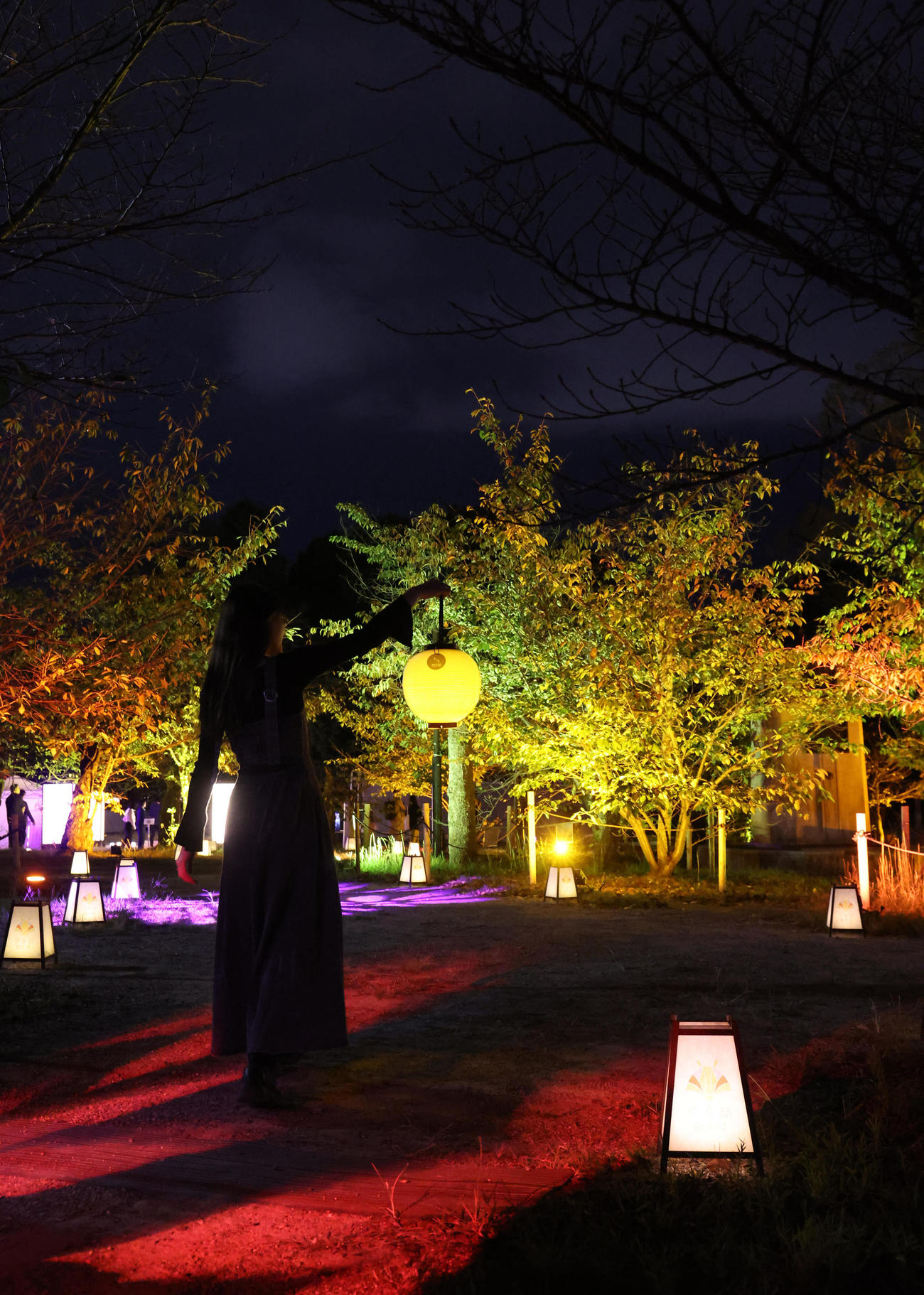 ちょうちんを持って円山公園を歩く芥田愛菜美（撮影・白石智彦）