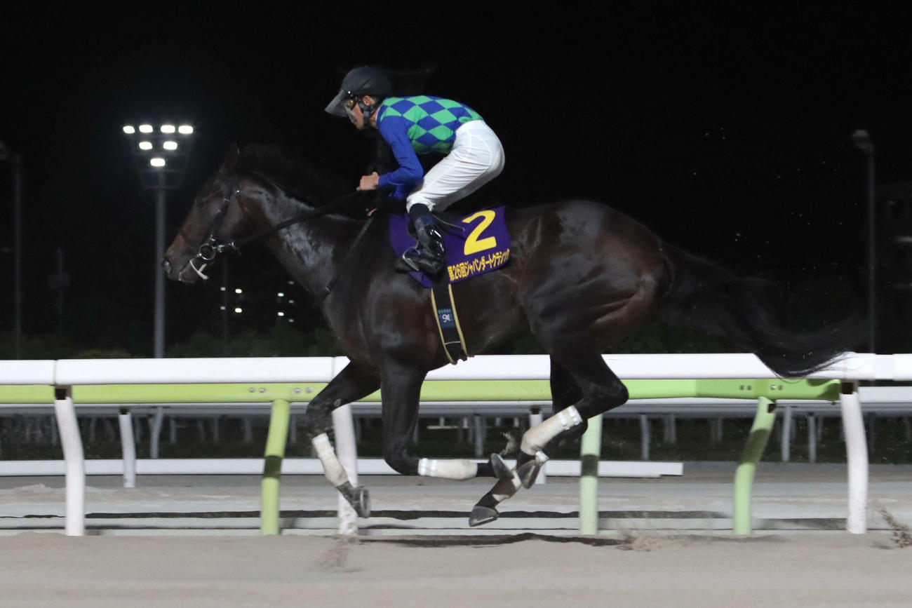 ジャパンダートクラシックを10着でゴールしたフジユージーンと森泰斗騎手