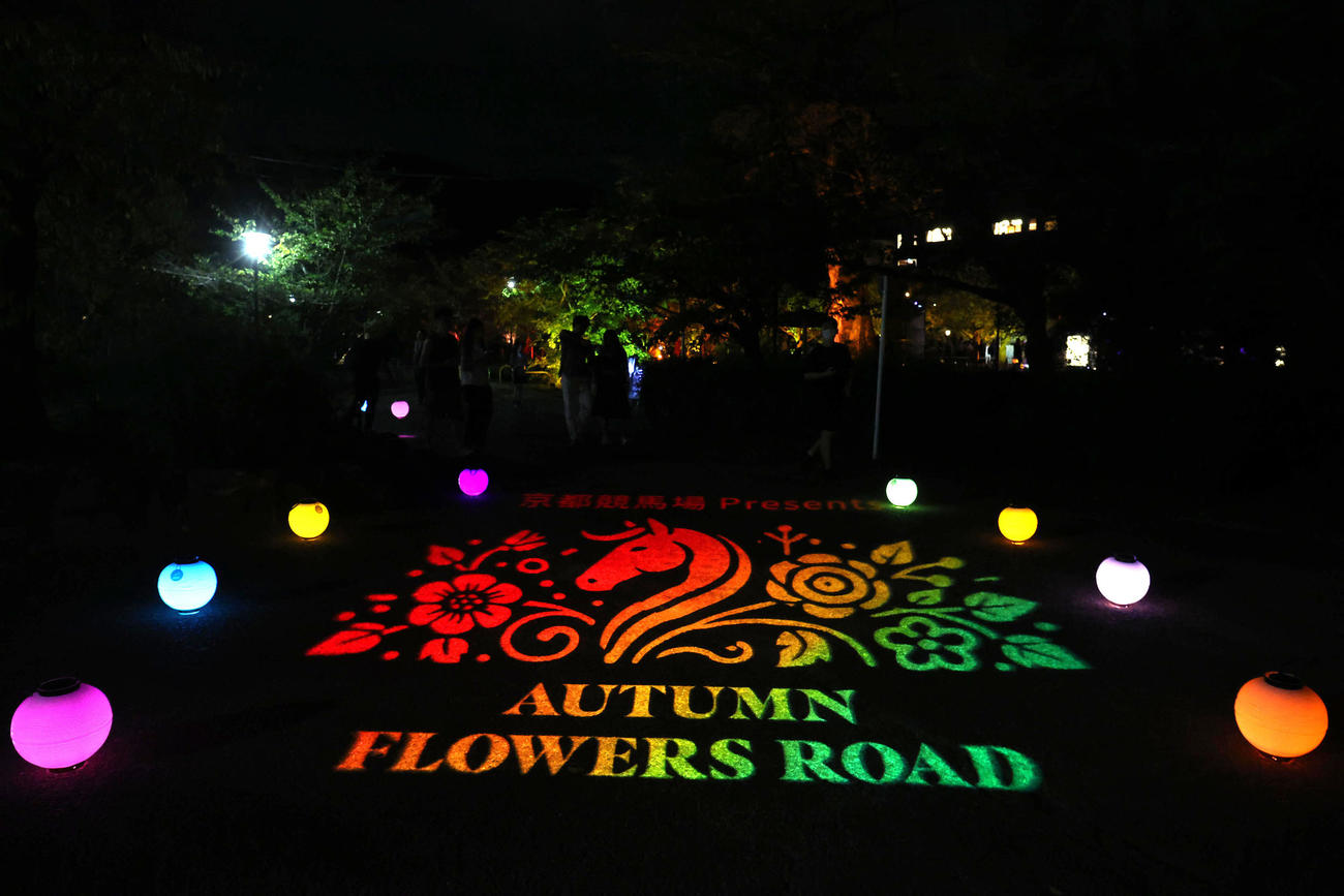 円山公園の入口に浮かび上がるAUTUMN FLOWERS ROADOのビジュアル（撮影・白石智彦）