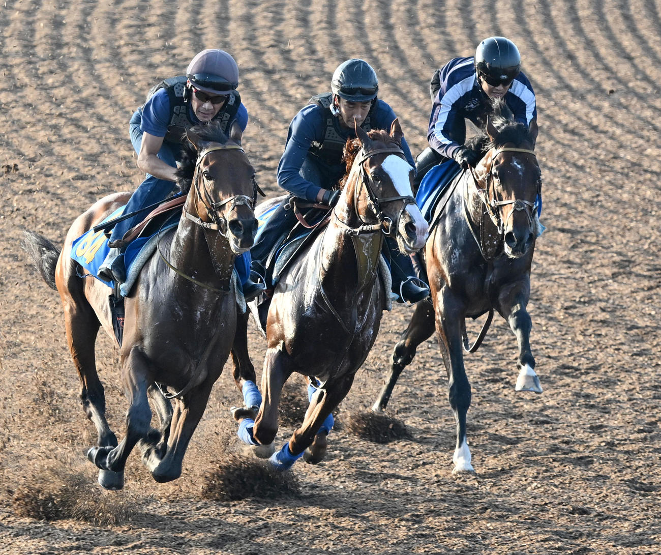 美浦ウッドで3頭併せて追い切るダノンエアズロック（右）（撮影・千葉一成）
