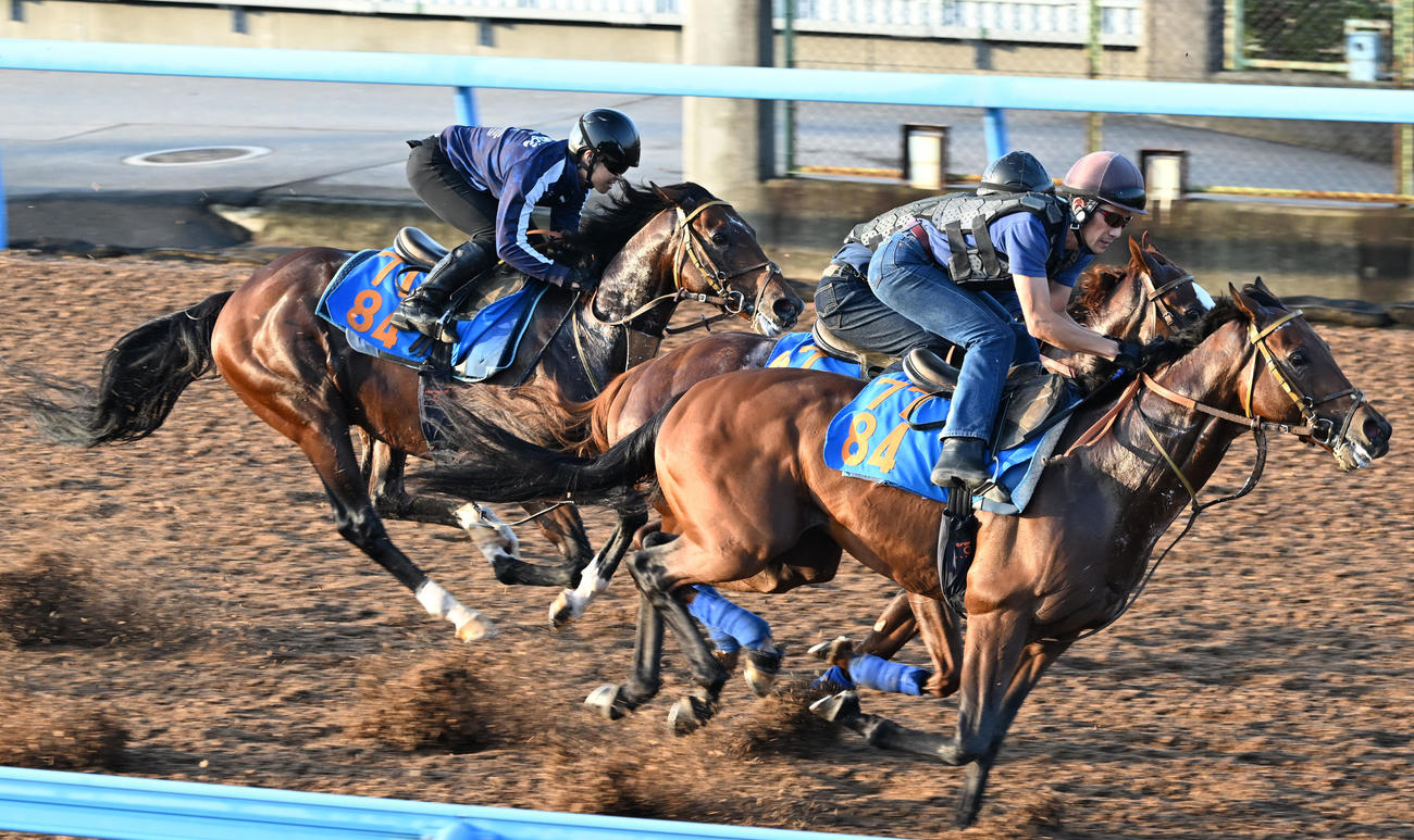美浦ウッドで3頭併せて追い切るダノンエアズロック（左）（撮影・千葉一成）