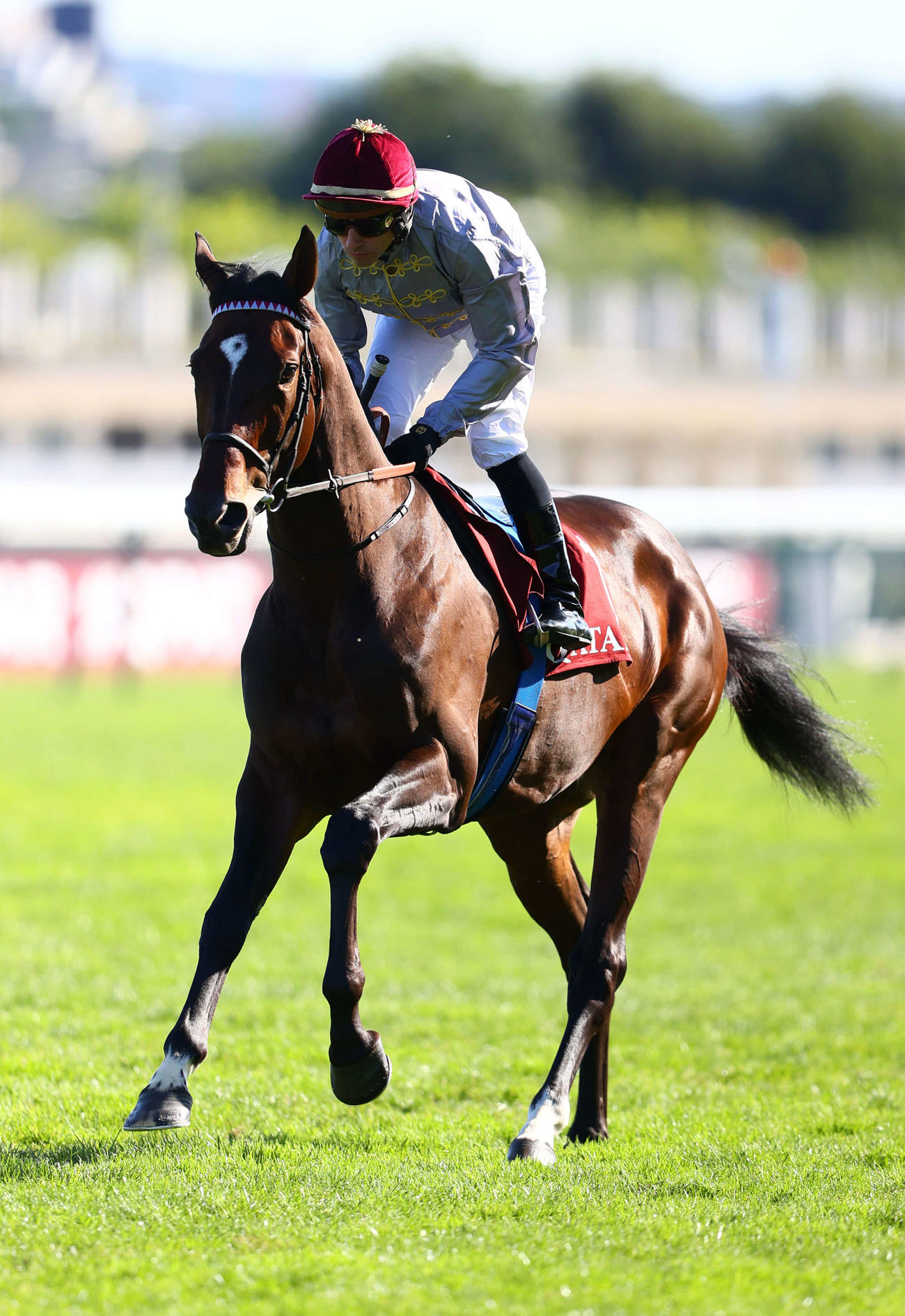 凱旋門賞】仏ダービー馬ルックドゥヴェガが前売り1番人気に返り咲き 