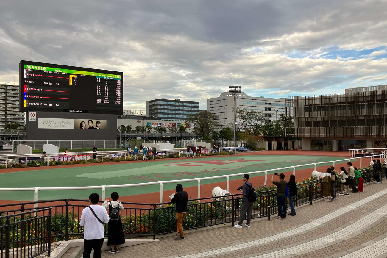 取り消し馬、除外馬が出て2頭だけでパドックを回るカミュとライジンバローズ