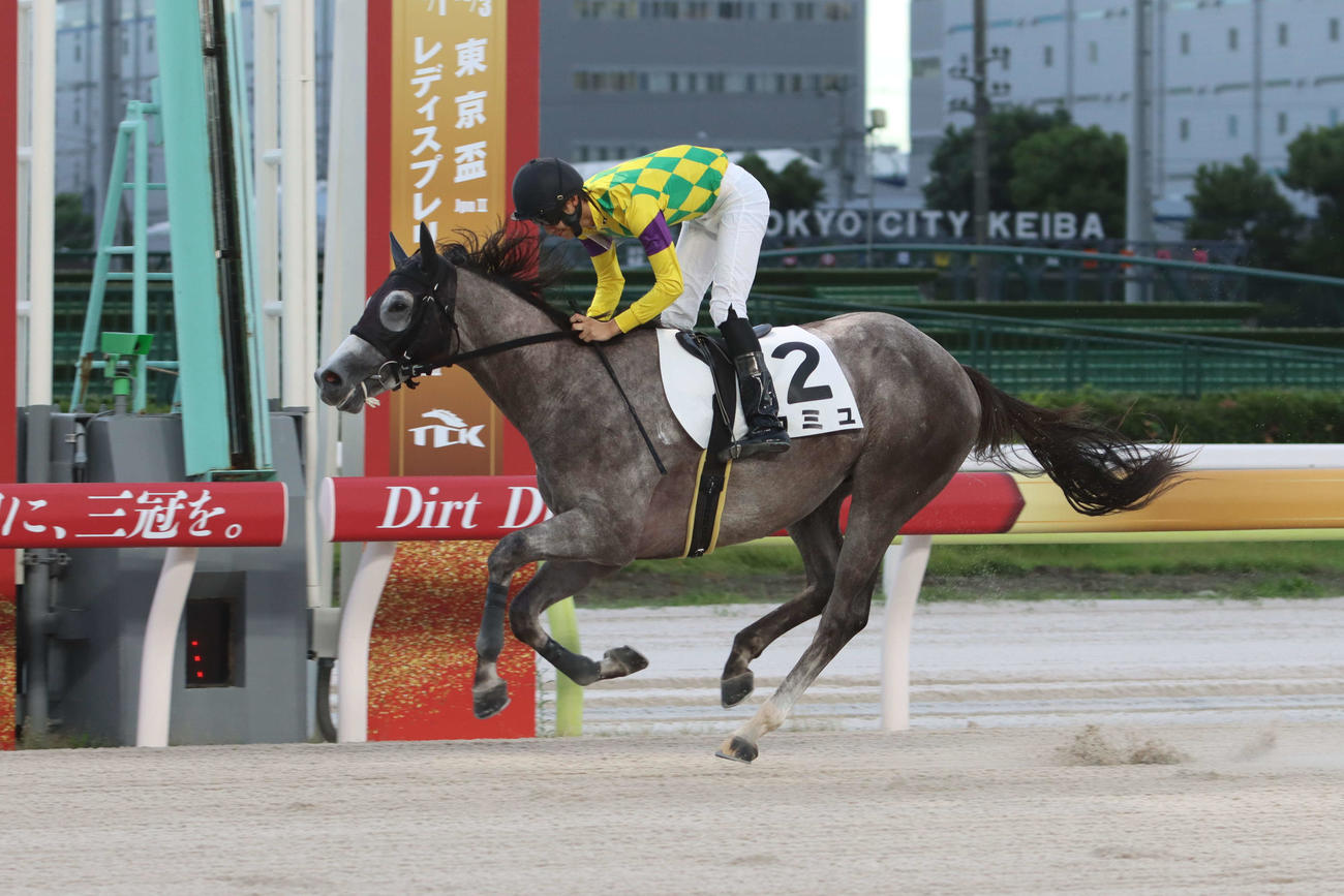 直線で抜け出し8馬身差で勝利したカミュと吉井章騎手
