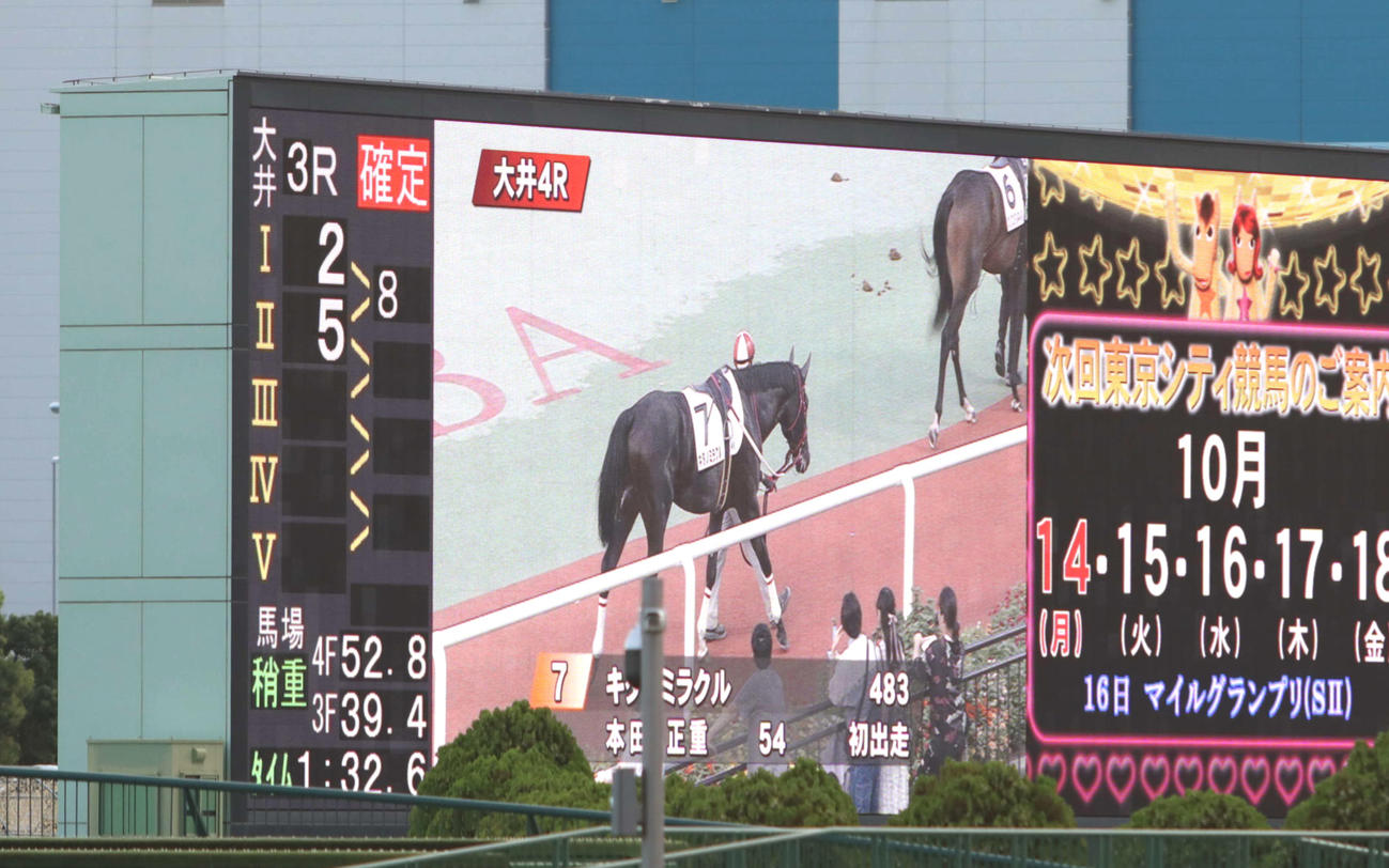 2頭立てで行われた大井3Rの着順掲示