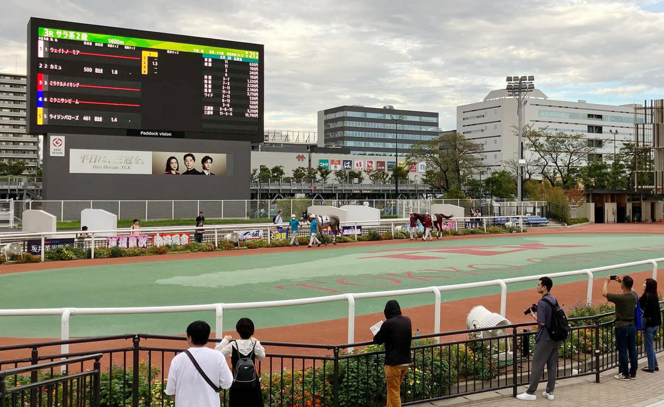 取り消し馬、除外馬が出て2頭だけでパドックを回るカミュとライジンバローズ