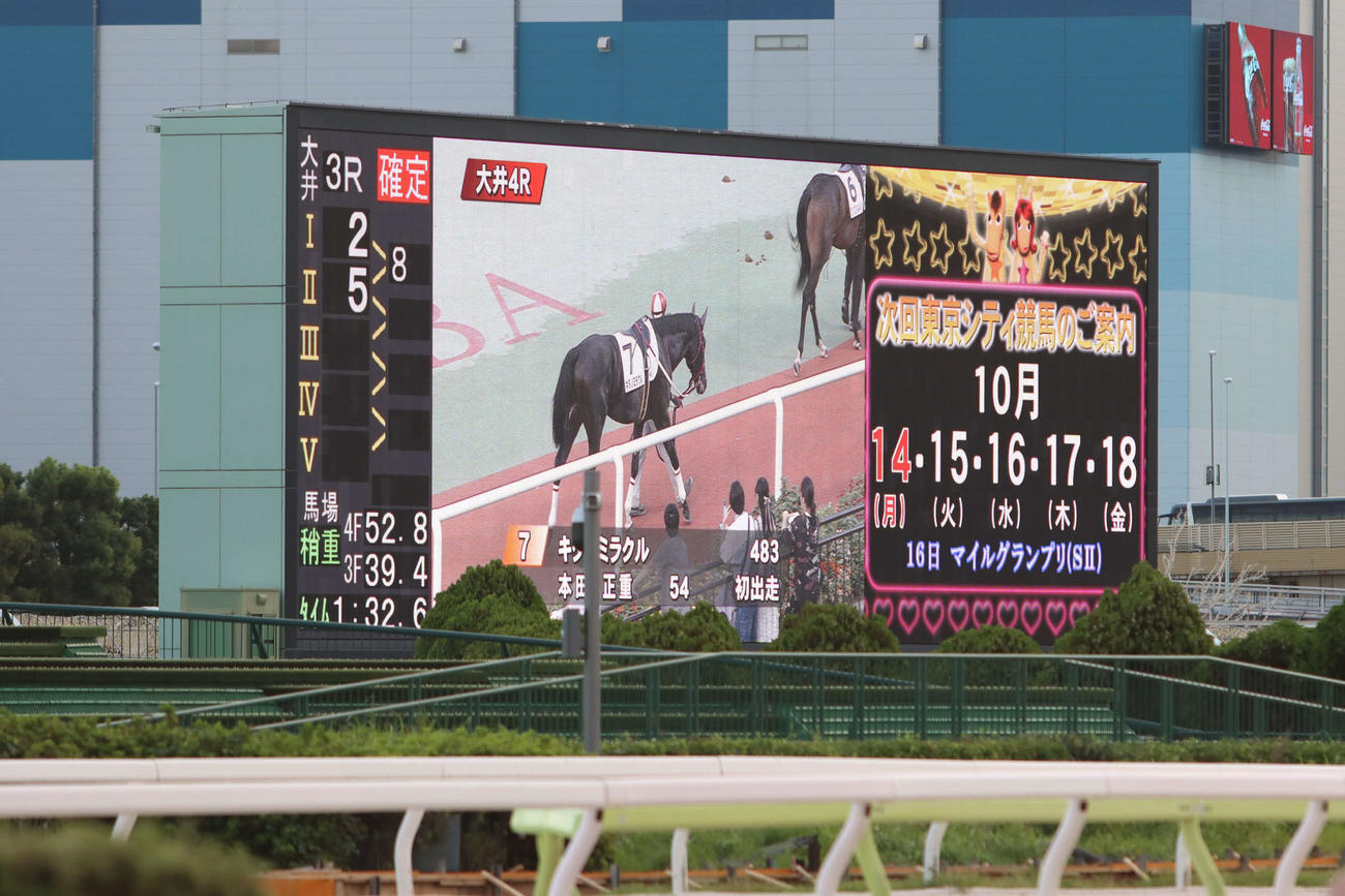 2頭立てで行われた大井3Rの着順掲示