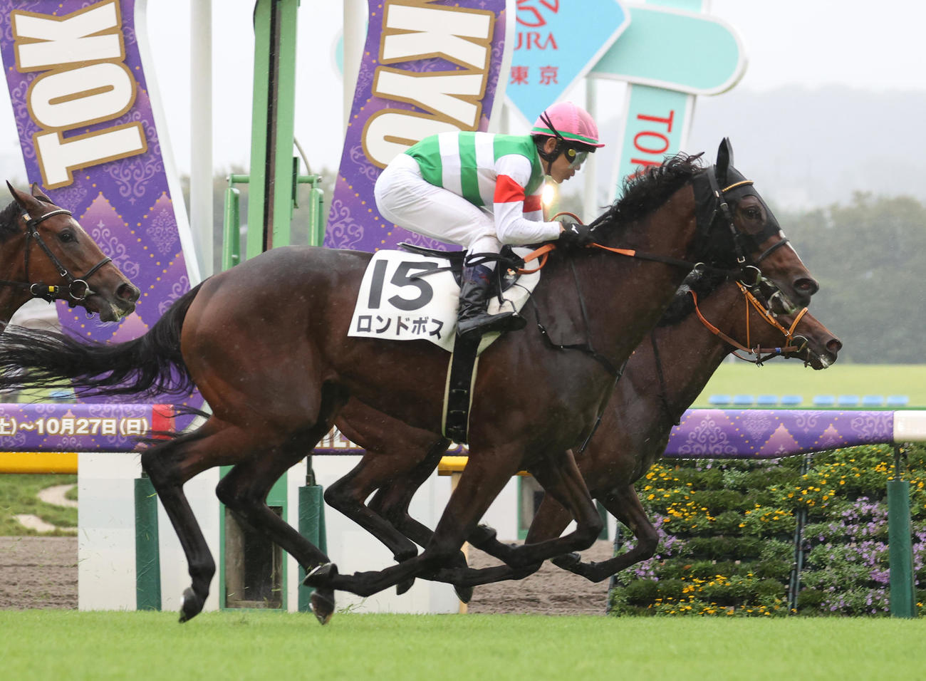 東京4R、新馬戦を制したロンドボス（手前）（撮影・柴田隆二）