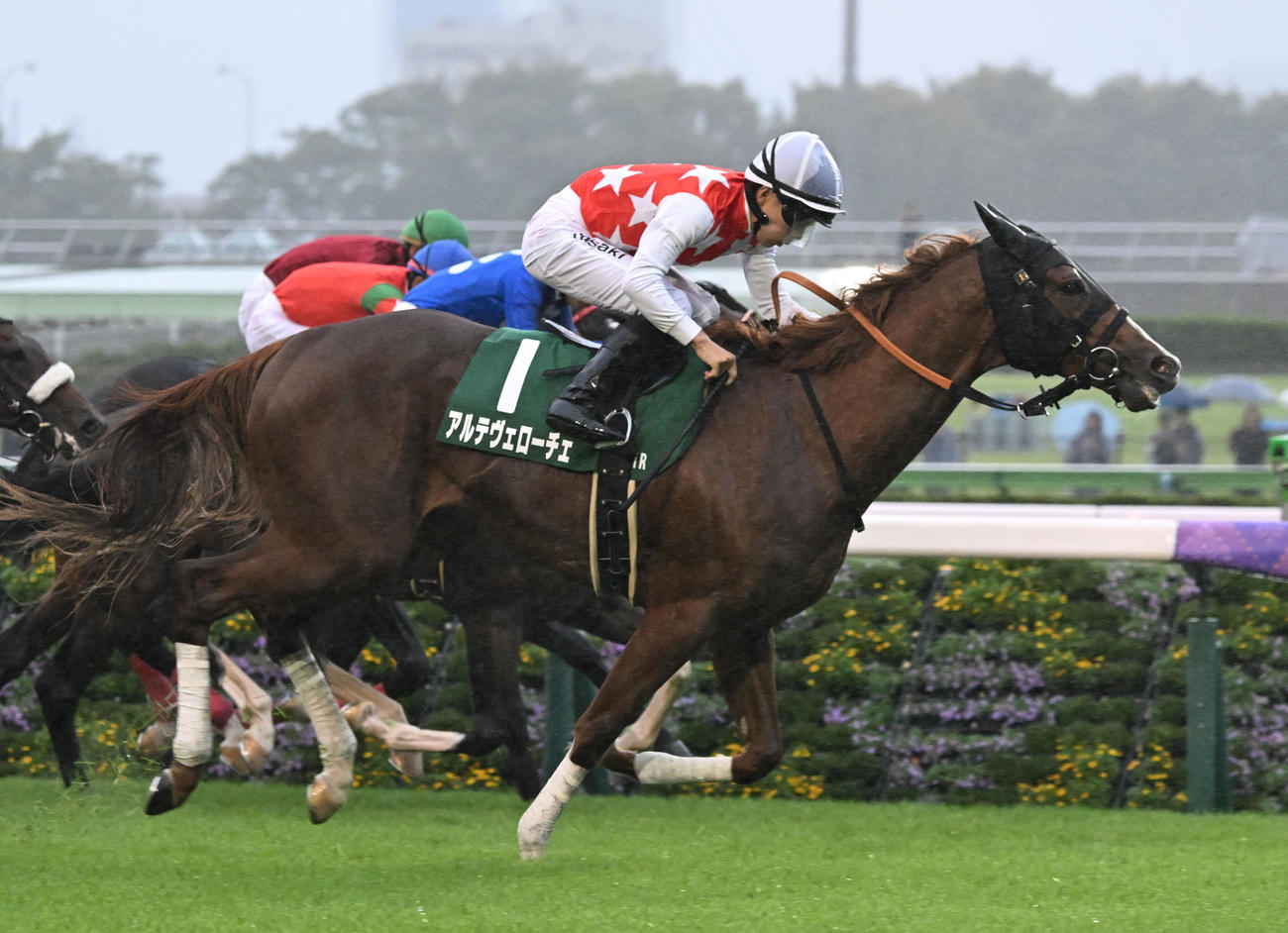 東京11R　サウジアラビアRCを制したアルテヴェローチと佐々木騎手（撮影・千葉一成）