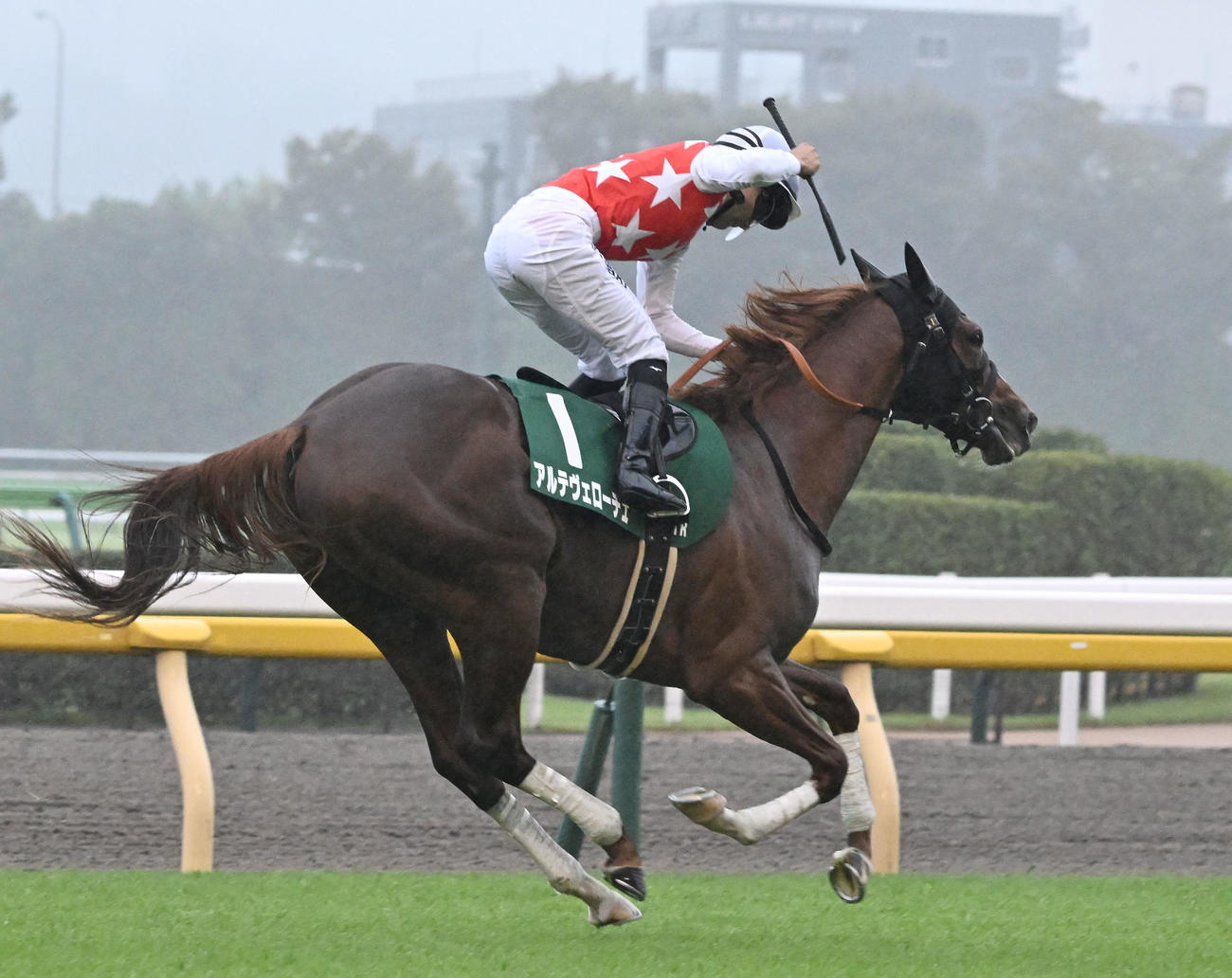 東京11R　サウジアラビアRCをアルテヴェローチで制し、ガッツポーズする佐々木騎手（撮影・千葉一成）