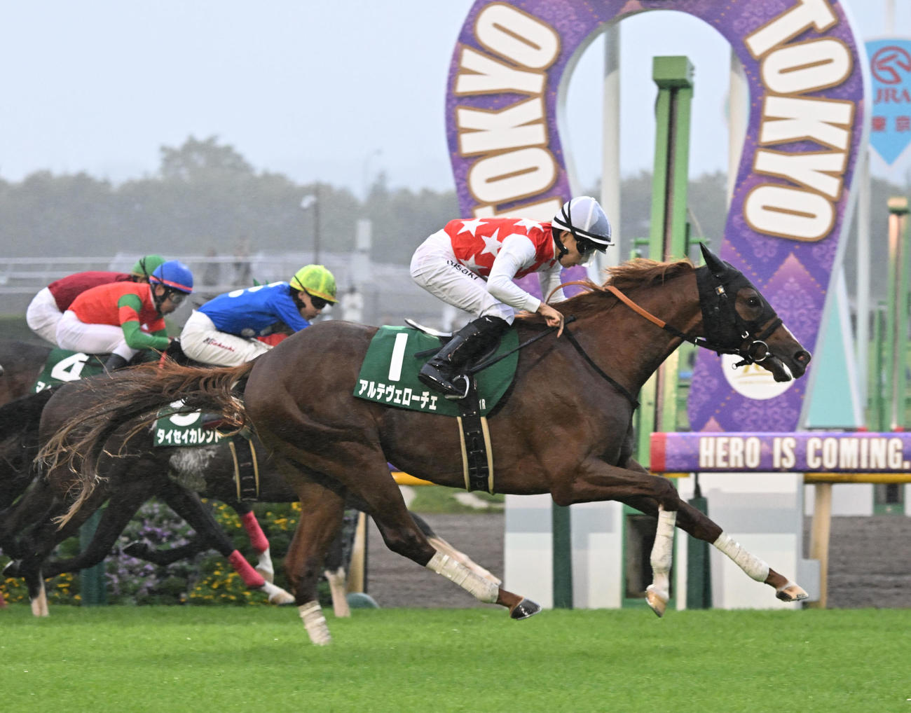 東京11R　サウジアラビアRCを制したアルテヴェローチと佐々木騎手（撮影・千葉一成）