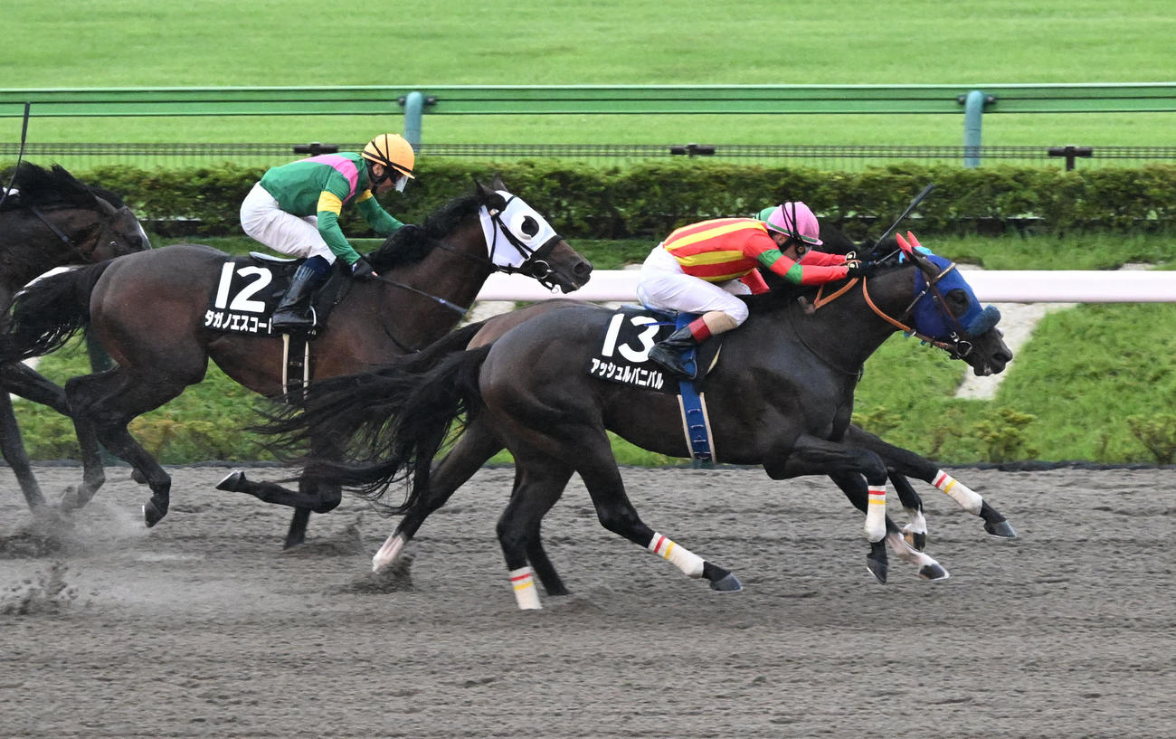 東京10R　赤富士ステークスを制したアッシュルバニパルとルメール騎手（右）（撮影・千葉一成）