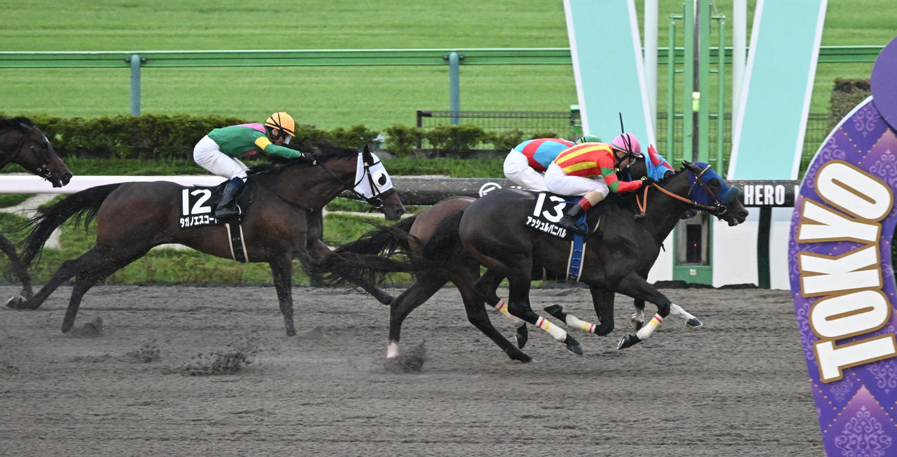 東京10R　赤富士ステークスを制したアッシュルバニパルとルメール騎手（右手前）（撮影・千葉一成）