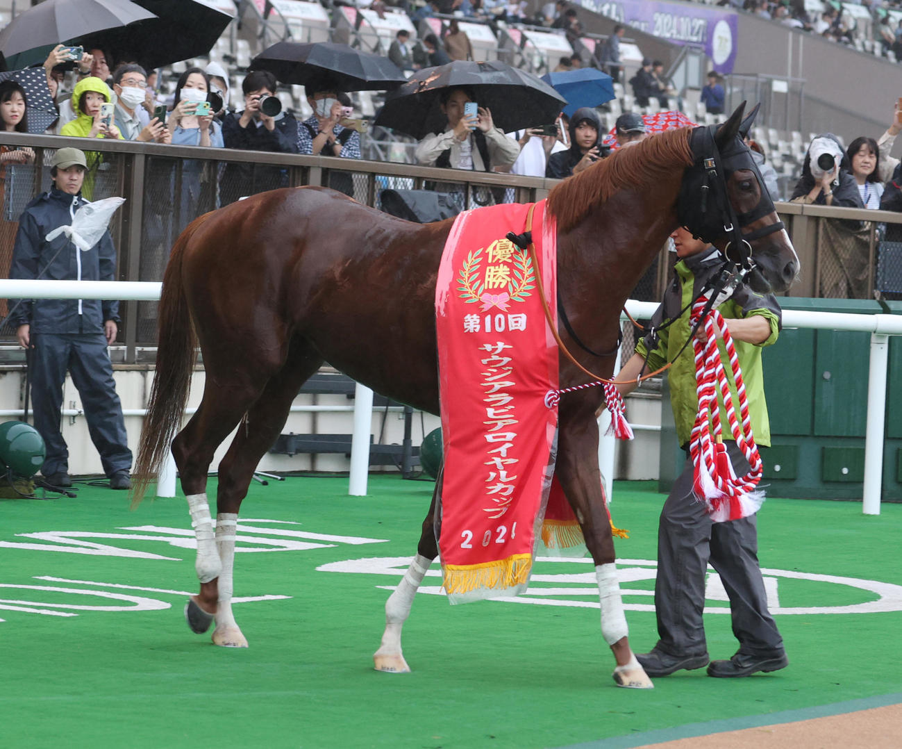 サウジアラビアRCを制したアルテヴェローチェ（撮影・柴田隆二）